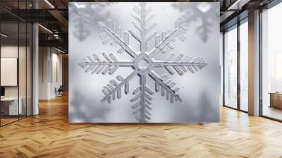 Close-up photo of snowflakes Wall mural