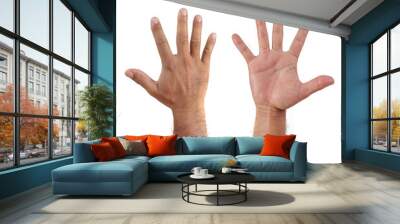 Man hand or male hand front and back isolated on white background Wall mural