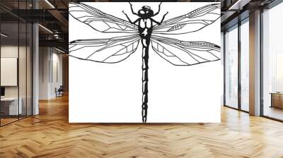 Dragonfly.eps Wall mural