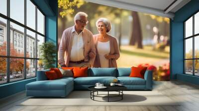 Happy senior indian couple at park Wall mural