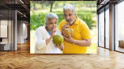 Indian senior couple drinking coconut water at park. Wall mural