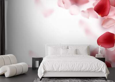 Backdrop of rose petals isolated on a transparent white background. Valentine day background. Wall mural