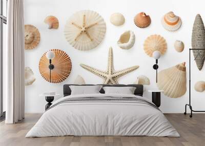 beach finds: small seashells, fossil coral and sand dollars, puka shells, a sea urchin and a white starfish / sea star, ocean, summer and vacation design elements isolated over transparent background Wall mural