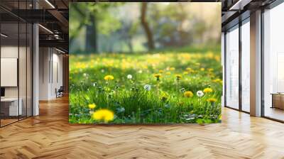 Beautiful spring natural background. Landscape with young lush green grass with blooming dandelions against the background of trees in the garden. Wall mural