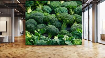 broccoli, tape in the food industry, products ready for automatic packaging. Concept with automated food production. Generative AI, Wall mural