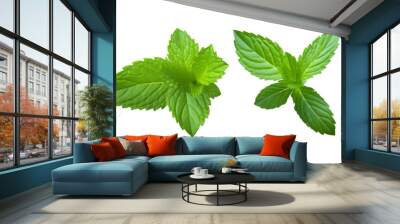 Collection set of mint leaves., fresh mint isolated on transparent or white background, png Wall mural