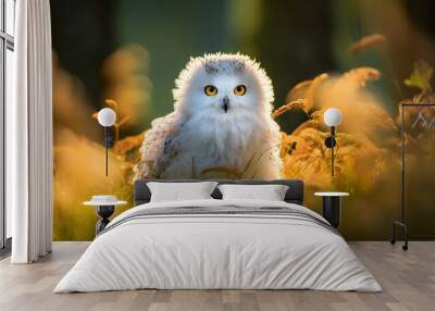 Cute fluffy white owl, beautiful Backlight, early september morning, wildlife photo, National Geographic, multidimensional layering, magical vibes Wall mural