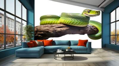 green snake on a tree branch. transparent background Wall mural