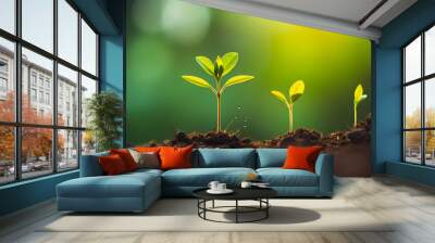 Growth tree young plant Natural green background Wall mural