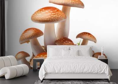 mushrooms isolated on white background Wall mural