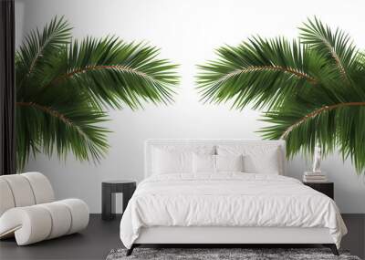 Palm leaf trees cut out backgrounds 3d illustration png file Wall mural