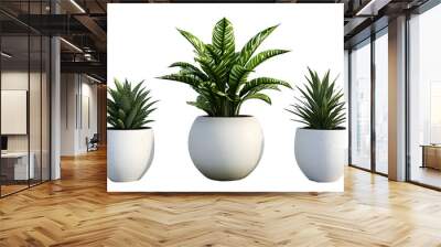 Plant in a pot on white Wall mural