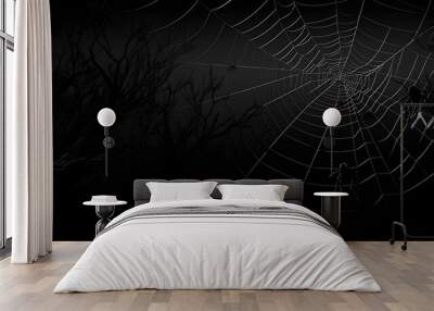 Real creepy spider webs silhouette isolated on black banner panorama - Halloween background template Wall mural