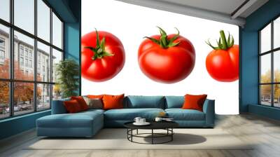 set of four tomato varieties isolated over a transparent background, natural organic vegetable design elements, top view / flat lay Wall mural