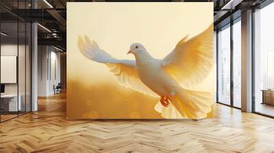 sky funeral background with white dove, copy space for text Wall mural