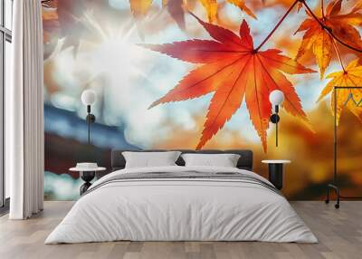 The autumn colors of Tokyo, Japan, color of maple leaves in sunlight. A natural autumn forest landscape. Wall mural