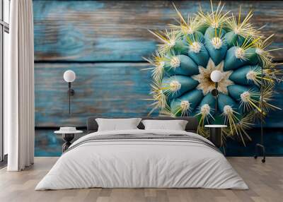 Top view of spiky cactus on wood backdrop Blue green cactus with long yellow needles Flat lay close up shot with space for text Wall mural