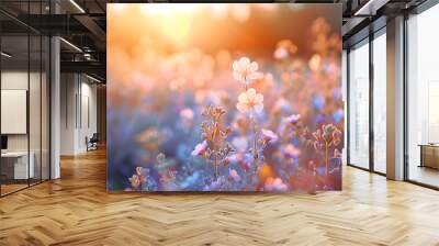 Wild flowers in a meadow at sunset. Macro image, shallow depth of field. Abstract summer nature background Wall mural