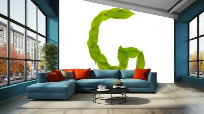 alphabet G made of green leaves isolated on white Wall mural