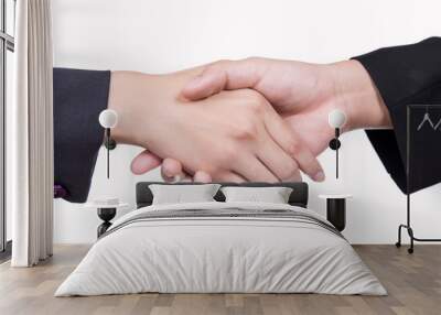  hand shake between a businessman and a businesswoman isolated on white Wall mural