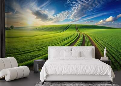 Fisheye landscape with green field and textured tracks for farm equipment Wall mural