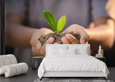 Hands holding  young plant in nature background Wall mural