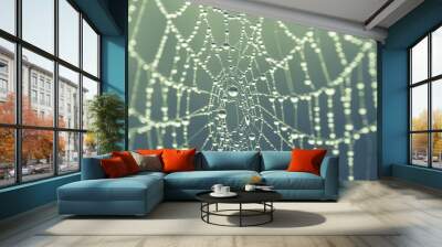 spider web background Wall mural