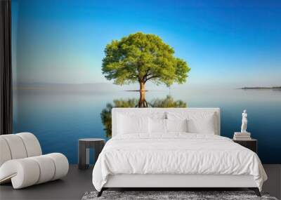 A photo featuring a single tree standing on an isolated background with its reflection visible in the calm water below, outdoors, nature, clear, green, peaceful, natural, scenic Wall mural