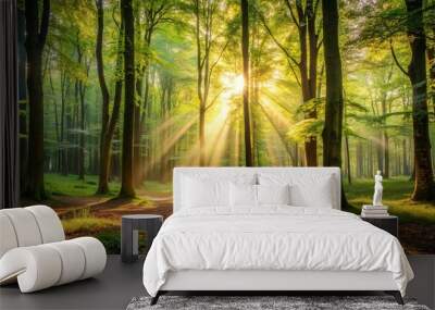 A serene forest clearing with dappled sunlight filtering through the leaves, creating a natural backdrop of tranquility Wall mural