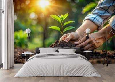 Close-up of hands planting a young tree sapling into the ground Wall mural