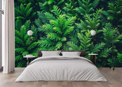 Minimalist natural green background of evergreen forest plants Wall mural