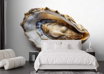 Minimalist open oyster shell on white background Wall mural