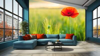 vibrant, scenic,poppy, season, tranquil, cereal field, outdoors, flora, A beautiful poppy flower stands tall amidst the lush green cereal field during the vibrant springtime season Wall mural