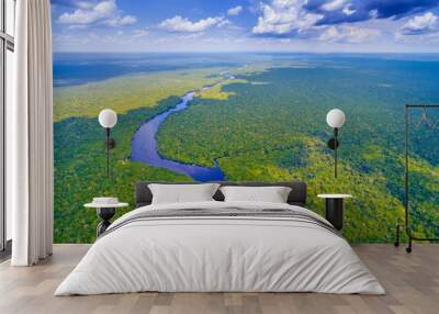 Amazon river in Brazil  Wall mural