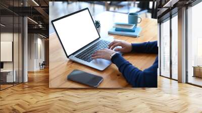 Close up view of female designer hands typing on computer laptop while working at modern startup office. Wall mural