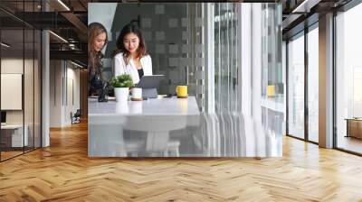 Two successful businesswomen discussing project strategy at bright modern office. Wall mural