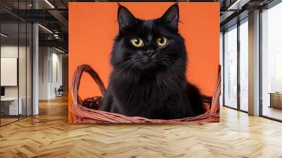 An ultra-sharp close-up of a witchâ€™s black cat sitting in a basket with pumpkins around. The background is solid orange, making the catâ€™s fur stand out in high detail. Wall mural