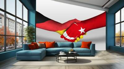 Handshake between turkey and germany flags painted on hands, illustration with clipping path. Wall mural