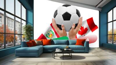 Soccer football competition match, national teams peru vs canada Wall mural