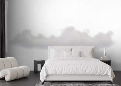 White fog, smoke, steam, cloudy isolated on transparent background, 3d rendering, png  Wall mural