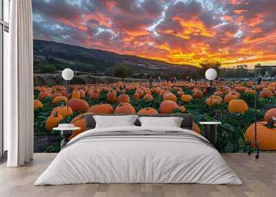  A wide shot of a pumpkin patch at sunset, with families picking pumpkins, the sky ablaze with warm colors, and hay bales in the background Wall mural