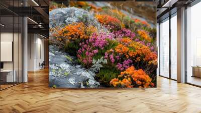 Deep within wilderness of Tasmania Australia Walls of Jerusalem National Park remote unexplored wilderness where autumn paint landscape hue of gold orange crimson ancient forest alpine meadow towering Wall mural