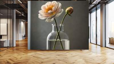 Single cut flower in a minimalist vase captured with Wall mural