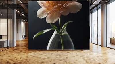 Single cut flower in a minimalist vase captured with Wall mural