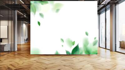 Green nature leaves on white background vector isolated elements design Wall mural