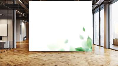 Green nature leaves on white background vector isolated elements design Wall mural