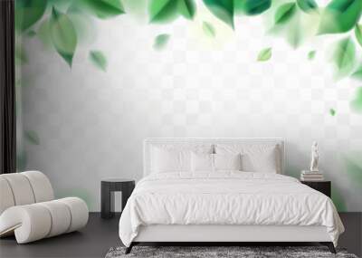 Green nature leaves vector illustration elements design Wall mural