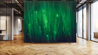 Green spring rye plant abstract background Wall mural