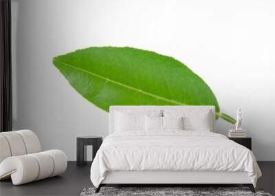 Green leaf isolated on white background Wall mural