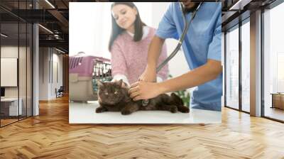 Cat on medical table Wall mural